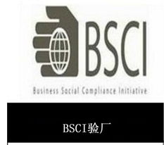 供應(yīng)東莞bsci驗(yàn)廠咨詢產(chǎn)品大圖 oas企業(yè)管理認(rèn)證咨詢機(jī)構(gòu)